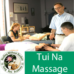 Tui Na Medical Massage Therapy Workshop - Day 1